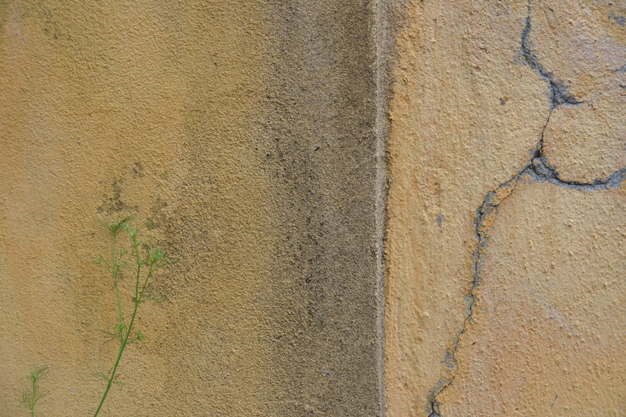 Spuren der Zeit: Das Bild zeigt einen wunderschön verwitterten ockerfarbigen Mauerputz in Genua.