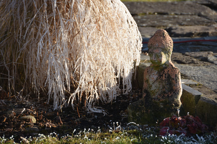 Das Bild zeigt eine Buddha Figur aus Stein in einem Garten.